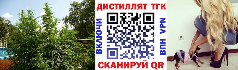 ТГК гашишное масло  Шацк 