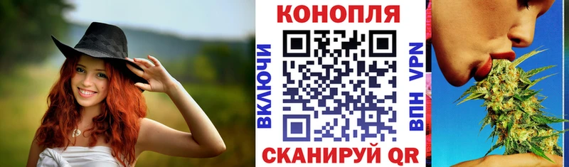 Канабис гибрид  Шацк 